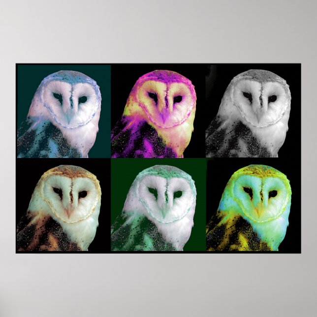 Pop Art Owl Poster (Front)