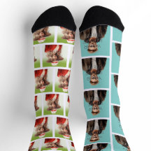 Pop Culture Signable Add Photo Personalised Custom