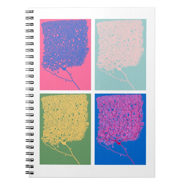 Pop Neuroscience Notebook (Front)