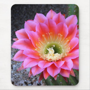 Pop of pink mouse mat