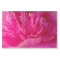 Pop of Pink Peony-TISSUE WRAPPING PAPER