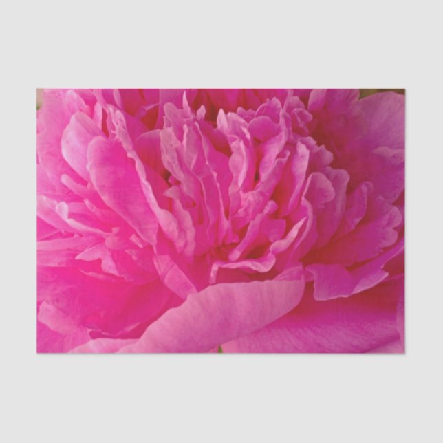 Pop of Pink Peony-TISSUE WRAPPING PAPER (Front)