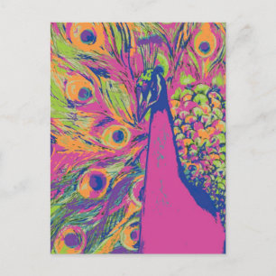 Pop Peacock Postcard