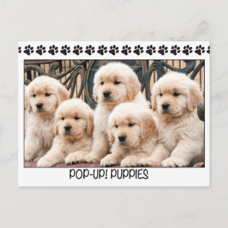 Pop-Up! Puppies Postcard