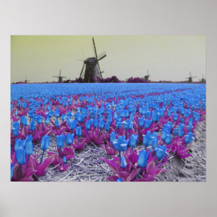 Popart Blue Tulips Windmills Landscape Poster