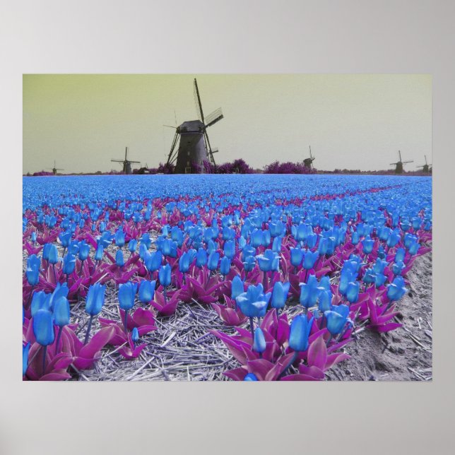 Popart Blue Tulips Windmills Landscape Poster (Front)
