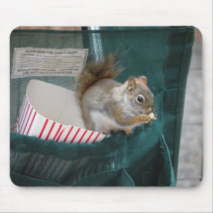 Popcorn squirrel mousepad