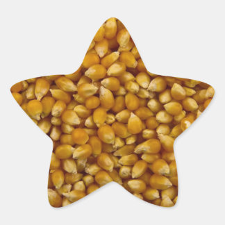 POPCORN STAR STICKER