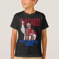 Pope Leon Xiv 2025 – Chicago’s First American Pope
