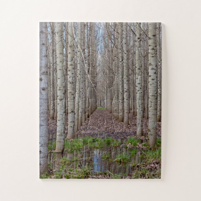 Poplar Grove Jigsaw Puzzle (Vertical)
