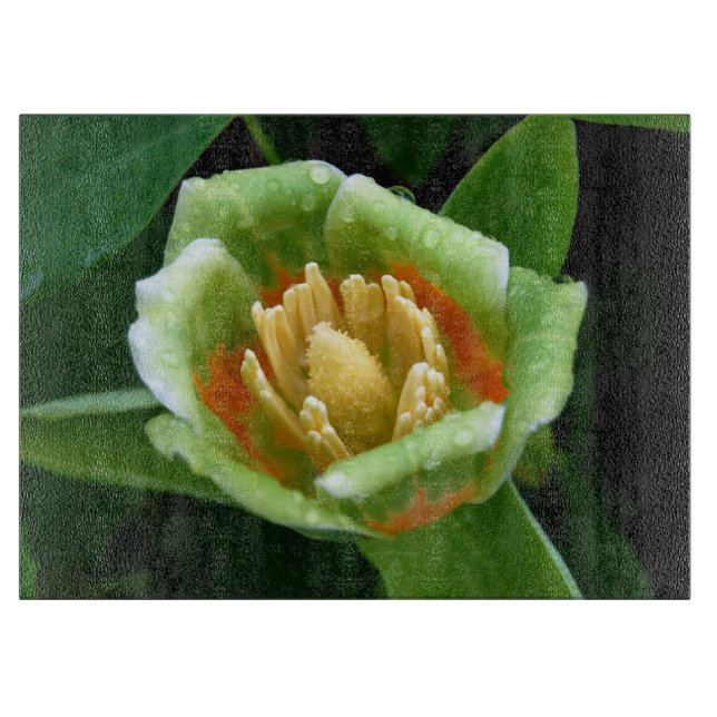 Poplar Tree Tulip After the Rain Cutting Board (Front)