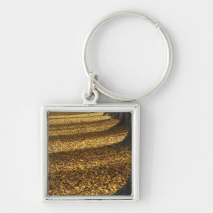 Poplar Trees in Autumn, Lake Wanaka, Otago, Key Ring