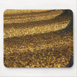 Poplar Trees in Autumn, Lake Wanaka, Otago, Mouse Mat