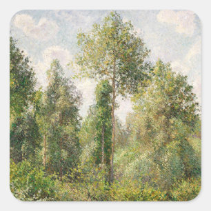 Poplars, Éragny  Camille Pissarro    Square Sticker