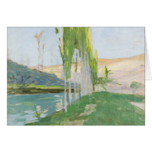 Poplars Growing near a Watercourse