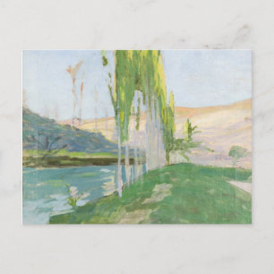 Poplars Growing near a Watercourse Postcard