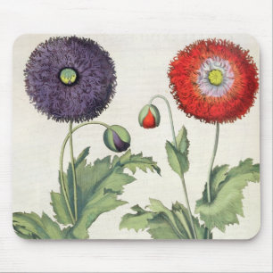 Poppies: 1.Papaver flore multiplici incarnato; 2.P Mouse Mat