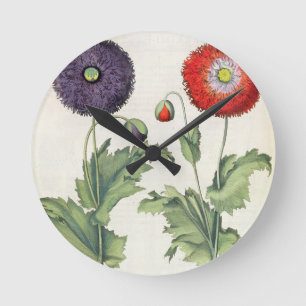 Poppies: 1.Papaver flore multiplici incarnato; 2.P Round Clock
