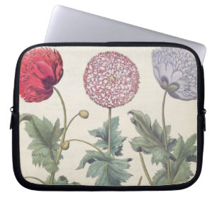 Poppies: 1.Papaver multiplex albumoris rubicundis; Laptop Sleeve