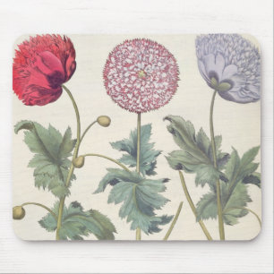 Poppies: 1.Papaver multiplex albumoris rubicundis; Mouse Mat