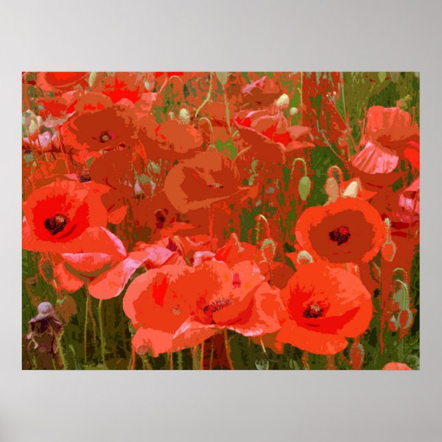 POPPIES 4 POSTER (Front)