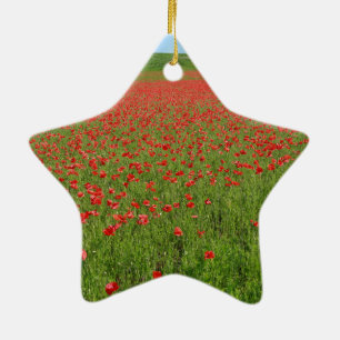 Poppies alive! ceramic tree decoration