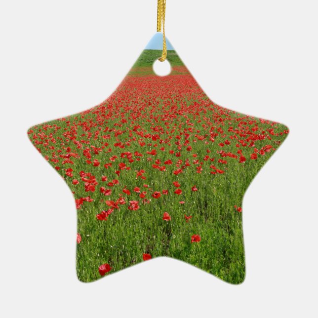 Poppies alive! ceramic tree decoration (Back)