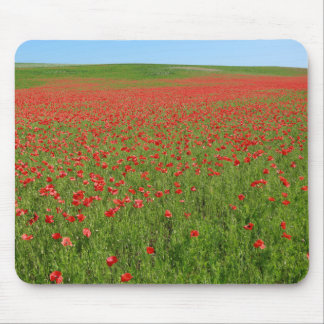 Poppies alive! mouse mat