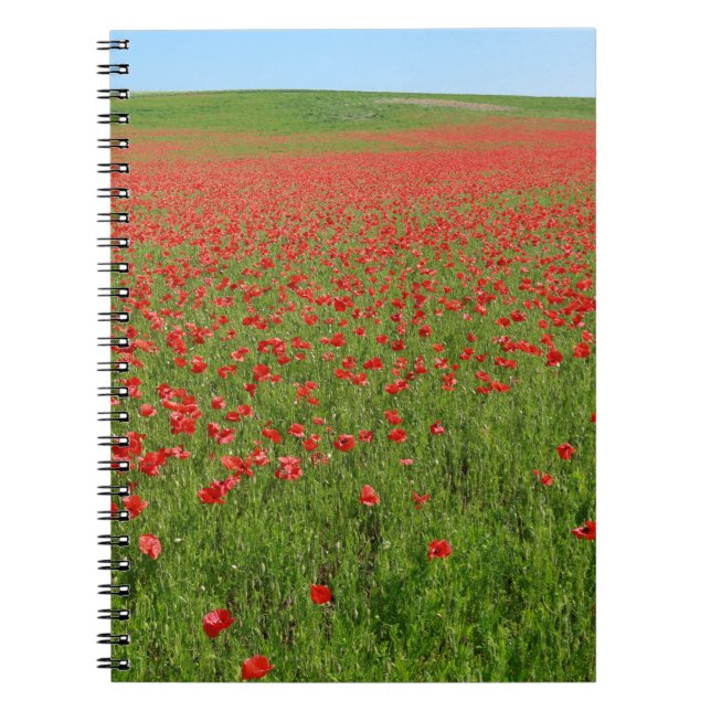 Poppies alive! notebook (Front)
