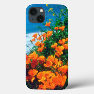 Poppies along the Pacific Coast near Big Sur iPhone 13 Case
