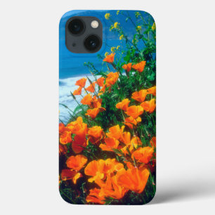 Poppies along the Pacific Coast near Big Sur iPhone 13 Case