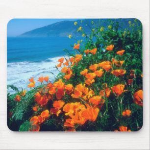 Poppies along the Pacific Coast near Big Sur Mouse Mat