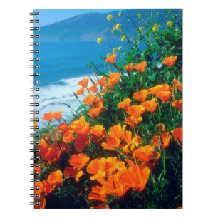 Poppies along the Pacific Coast near Big Sur Notebook