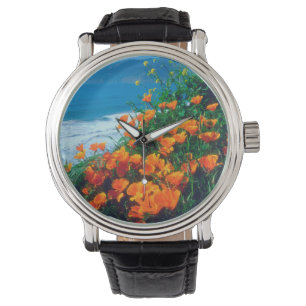 Poppies along the Pacific Coast near Big Sur Watch