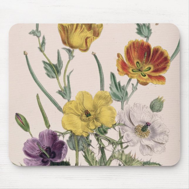 Poppies and Anemones Mouse Mat (Front)