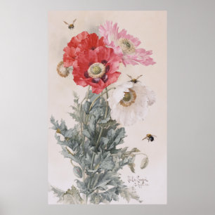 Poppies and Bees Poster