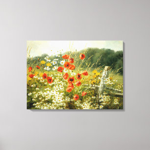 Poppies and Daisies Canvas Print