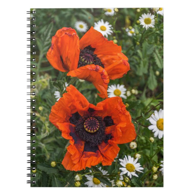Poppies and daisies notebook (Front)