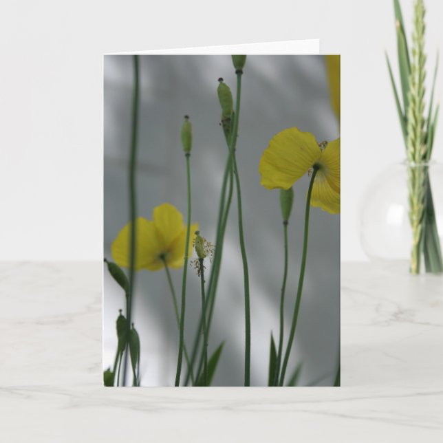 Poppies and shade 9 Floral Photography Greeting C Card (Front)