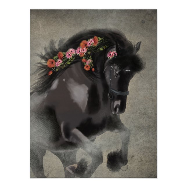 Poppies and the Friesian - Poster (Front)