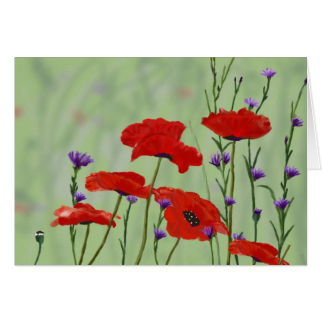 Poppies Any Occasion Blank (Front Horizontal)