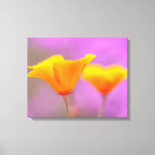 Poppies Canvas Print