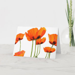 Poppies! Card