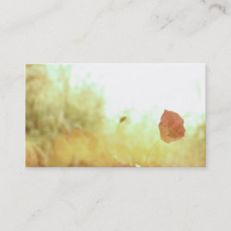 Poppies Card