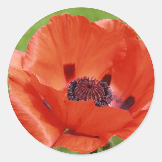 poppies classic round sticker (Front)