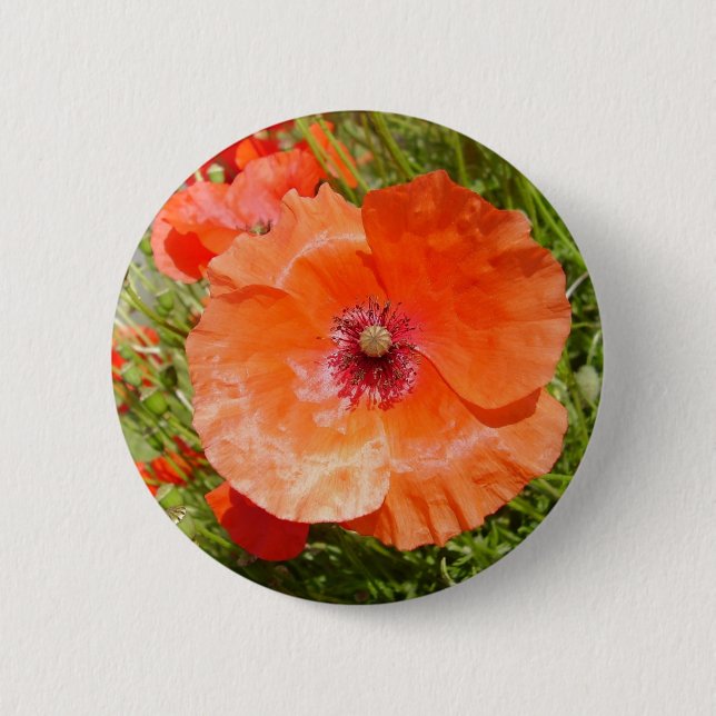 Poppies - Coquelicots 6 Cm Round Badge (Front)