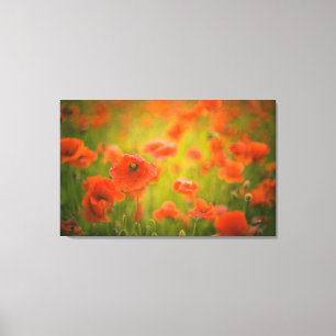 Poppies field canvas print