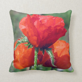 Poppies Grade A Cotton Throw Pillow 16x16