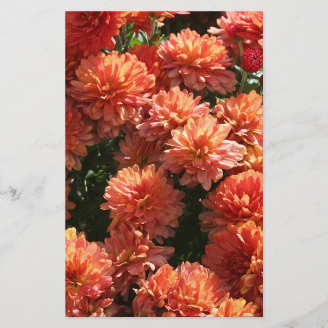 Poppies I Stationery (Front)