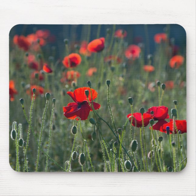 Poppies in a Field Mouse Mat (Front)